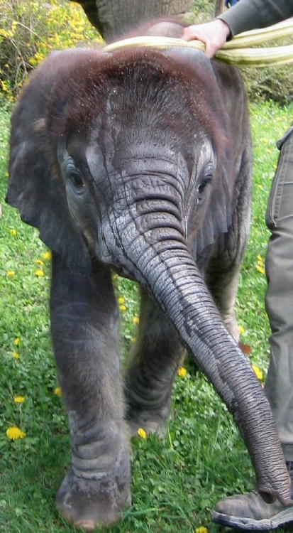 Mai 2006