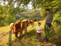Spessart-2004-19