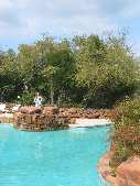 Pool Austin